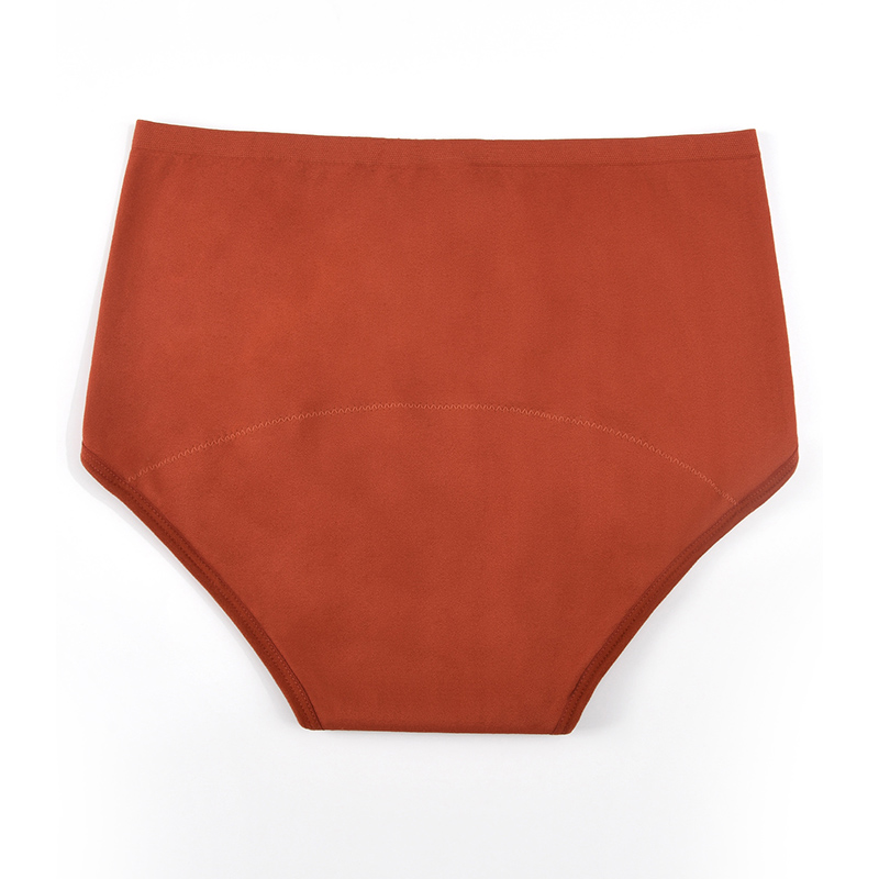 Women’s Seamless Period Pantie – Period Panty Absorbent Bewertung und Preis